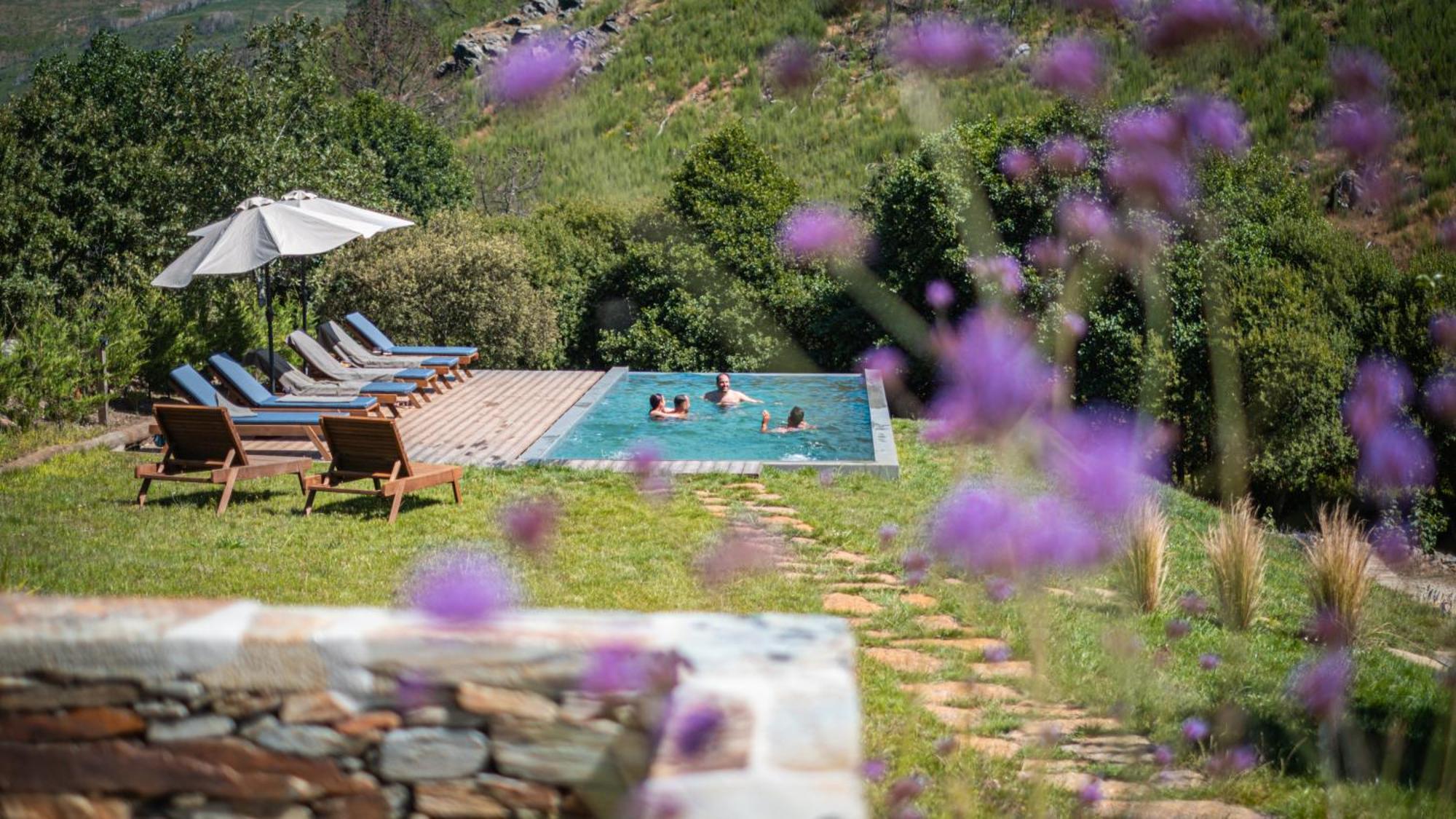 Terrasense Mountain Charm Retreat & Farm Apartment Videmonte Exterior photo